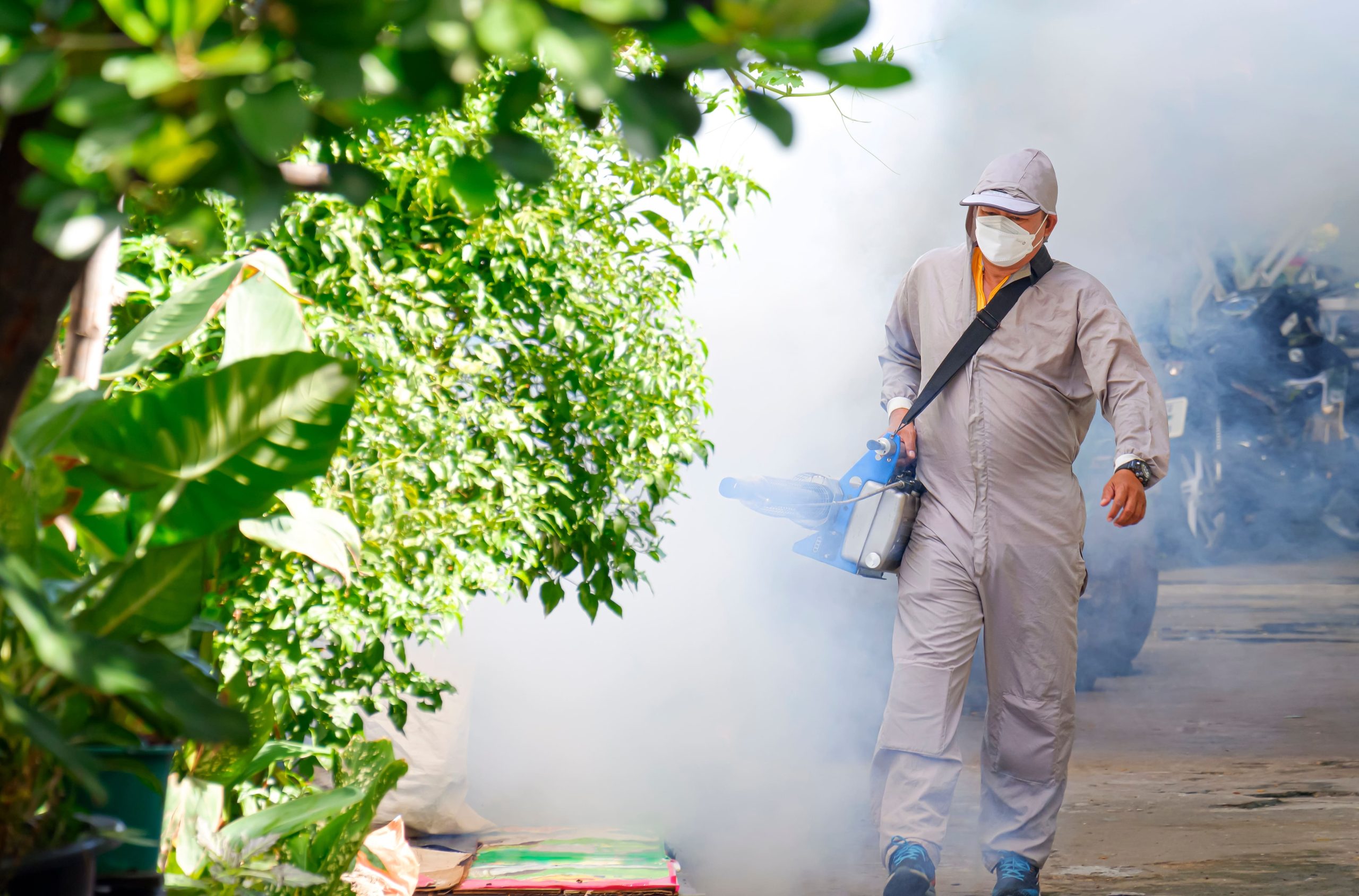 outdoor-healthcare-worker-is-spraying-chemical-to-2025-03-11-12-09-35-utc